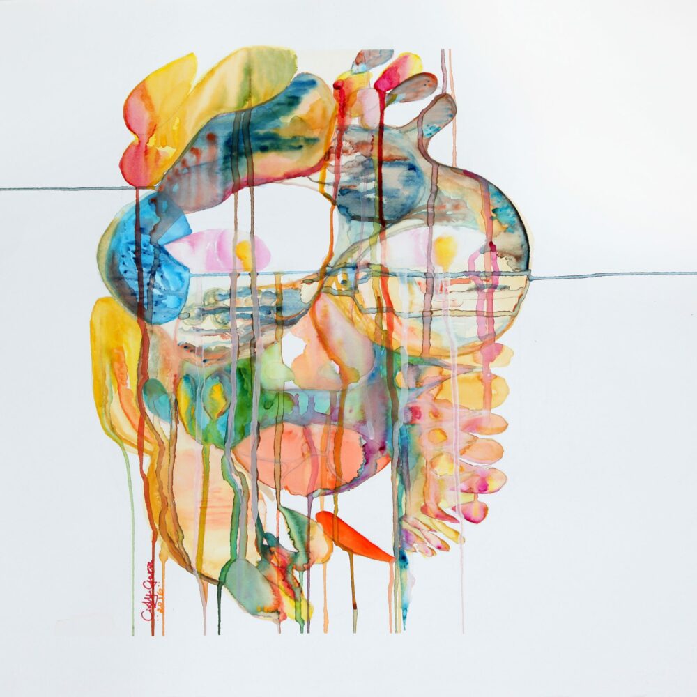 Face Animal Dream