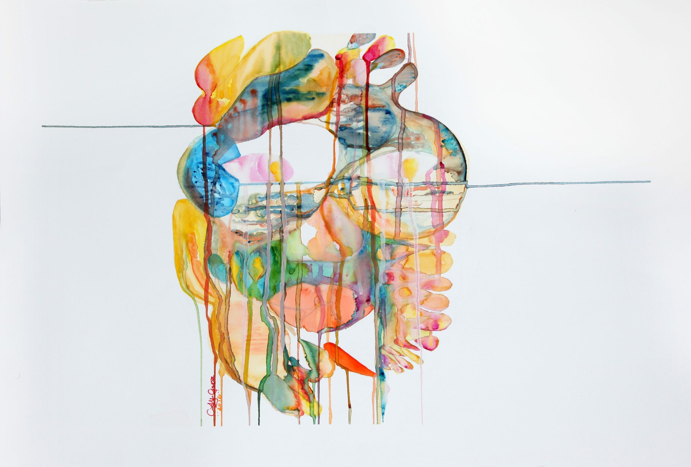 Face Animal Dream